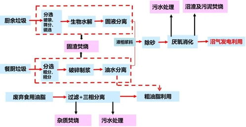 湿垃圾再分生 熟,嘉定试点生活垃圾 五分类 新模式