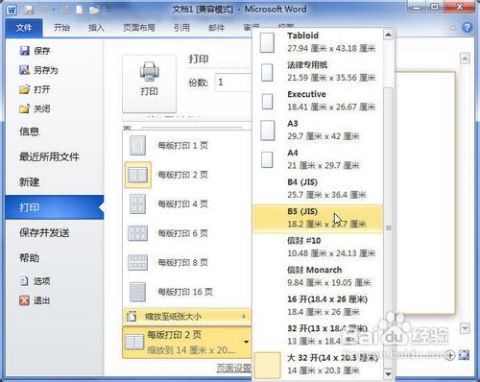 Word2010中怎样进行双面打印和缩放打印