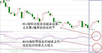 股票！何为满仓、何为空仓？求解…