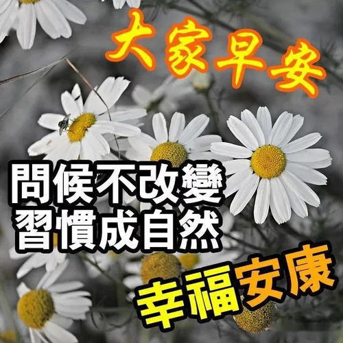 人生的幸福,一半要争,一半要随 早安 阳光温 