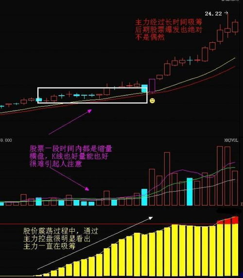 主力完全控盘的 股票有 哪些