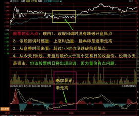 股市的分时价线和分时均价线是什么意思