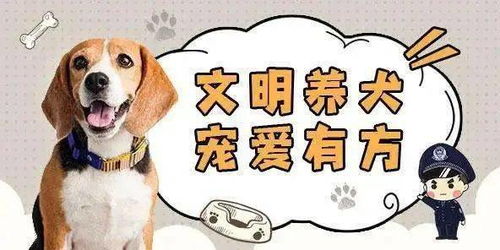 徐州市养犬管理条例 对轻微违规养犬行为是如何规定的