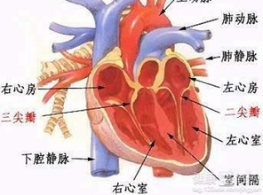 风湿性心脏病高血压可以动手术吗