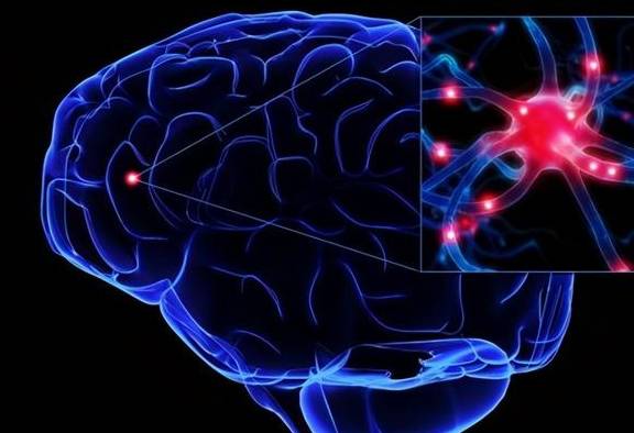 盘点关于人类大脑的9个 有趣 的事实