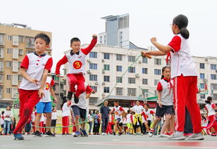 绵阳东辰国际学校 