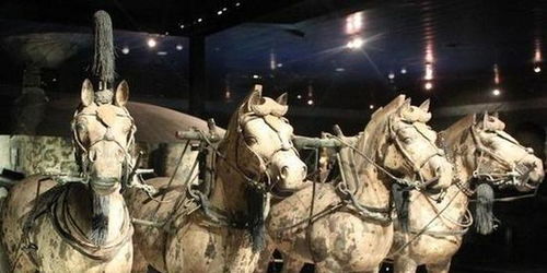 中国古代文物中那些著名的 马
