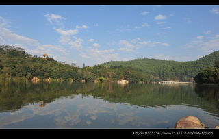 再发几张深圳仙湖风景,谢谢欣赏,欢迎指点