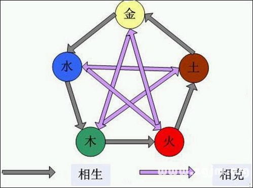 八字正解 第02章 术学公共常识与八字大运排