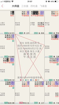 紫微斗数144命盘详解