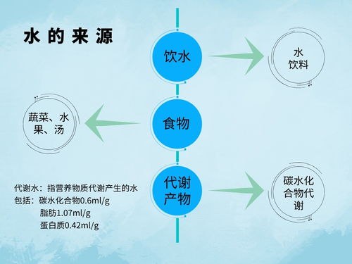 五行缺水怎么补救好的方法