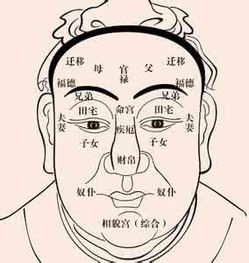 教你面相打分看财运 