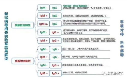 攻略来了,48小时双阴性要求下,我怎么在英国测IgM抗体