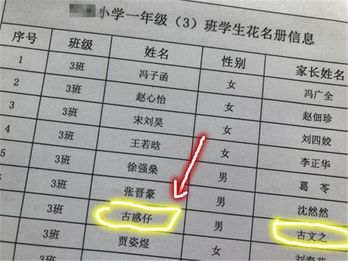 儿子因 名字 被银行拒绝录用,听完母亲的解释,网友笑出鹅叫