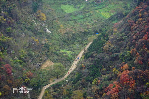 藏在西安秦岭里的神秘古道观,处处刻着外国文字,到底什么来头