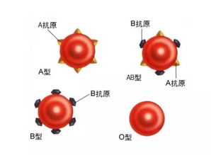 孕期这几项抽血检查,对宝妈和宝宝都很重要