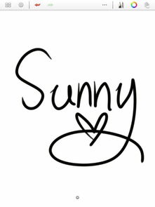 设计一个sunny 的签名字体,就是画完漫画后签名的那种,可爱一点好看一点Q一点,发图片哦 