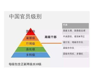 正科级是多大的官