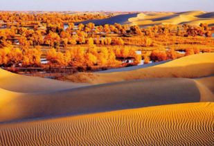 中国最美的沙漠公路,全程有108个水井,住着108对 特殊 的夫妻