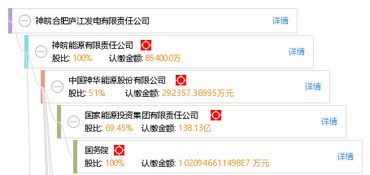 神皖合肥庐江发电有限责任公司怎么样？
