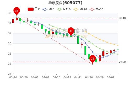 彩虹股份的增发价是多少