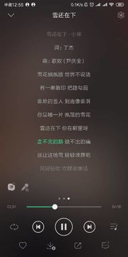 抖音里的男生唱的 雪还在下 是什么歌 