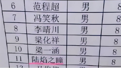 小学生因 名字简单 走红,连名带姓只有2笔,网友直呼家长有才