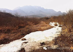 萧太后家族墓地被盗 惊曝大辽亡国谜 