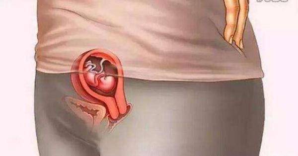 怀胎十月到底是什么样的,十张图带你看孕育过程,生而为人须了解