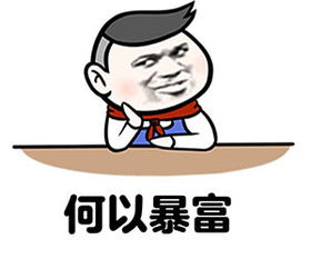 何以解忧唯有暴富表情包