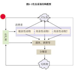 生态系统的组成部分有哪些