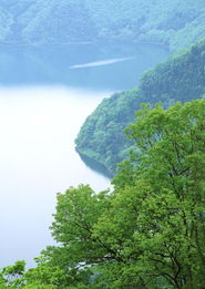 溪流水源图 自然风景图片 自然风景 溪流水源 