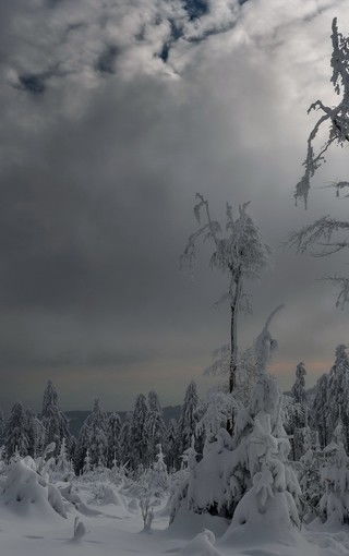 雪景夜色唯美图片 图片搜索