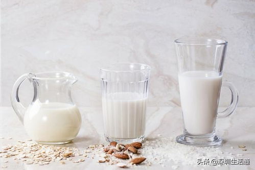 早晚一杯奶,但这杯奶是选择鲜牛奶 纯牛奶还是酸奶呢