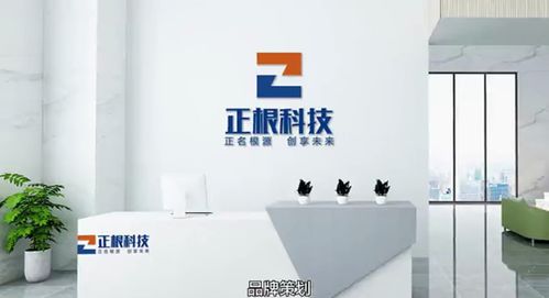 改则品牌策划公司哪家好(改策划是什么意思)