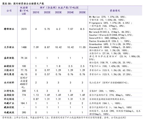 锂矿价格飞涨，达到超过42亿！1.1万次报价，升值超过1300倍，背后买家可能与A股公司有关！