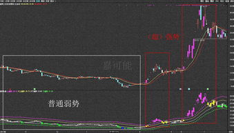 学习股票期货投资市场到底要不要很强的数学知识？需要什么样的数学知识？我是零基础