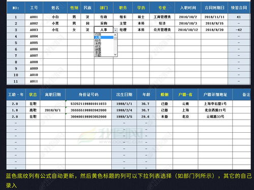 人事档案管理系统员工信息表人员结构分析表excel表格模板下载 