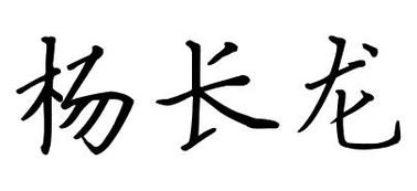 杨长龙正楷字体怎么写 