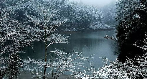 下雪了,中国各地最美雪景欣赏,美爆了