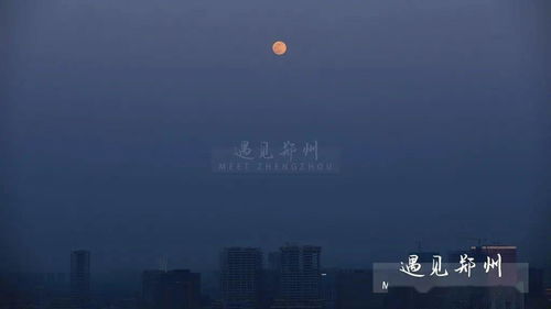 掬一捧月光给你,我的郑州