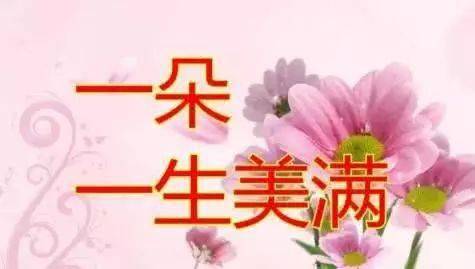 今天正月十一 十一个祝福送给你 祝您一生幸福,一世平安