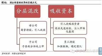 中国是否有银行控股公司制类型的企业，请举例说明。并说明原因