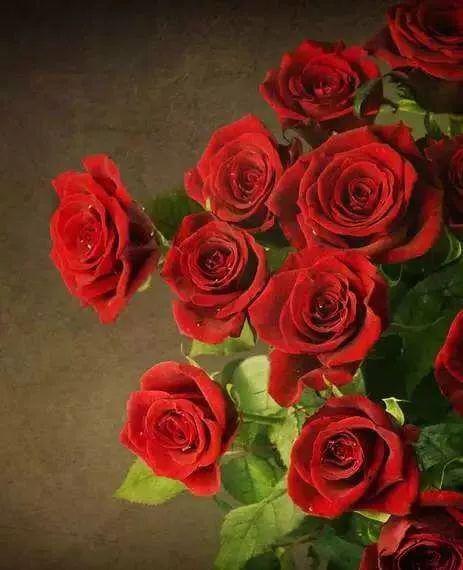 妈妈我爱你 ▎送妈妈的玫瑰口红,一秒提气质 矫饰肤色,二支送玫瑰花茶