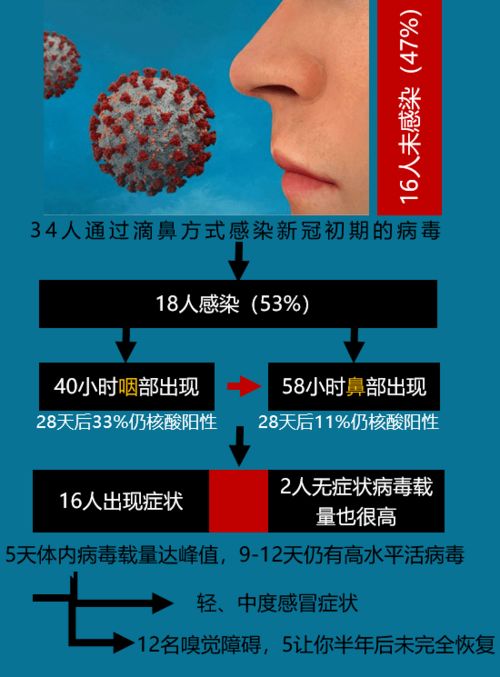 34人主动感染新冠病毒实验提示人类应努力成为不被感染的 第四类人