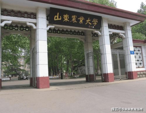 山东双一流建设,山师山农自力更生,临大曲师得到大力扶持