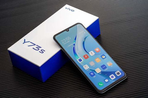 中看更中用,vivo Y73s果然不凡