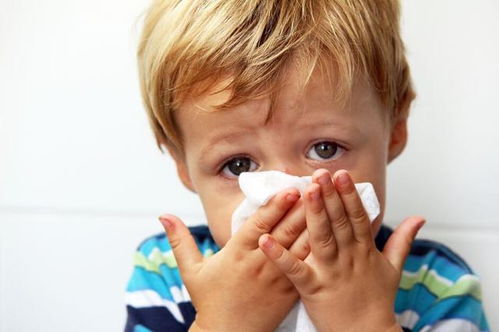 鼻子有鼻涕白色特别黏 孩子轻微过敏性鼻炎、鼻窦炎，一直有很多白色鼻涕，这是为什么？ 