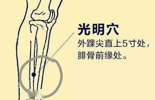 气虚 脾胃虚弱的人用什么调理