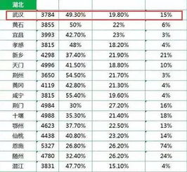 来武汉几年,混得好不好 对照检查就知道 